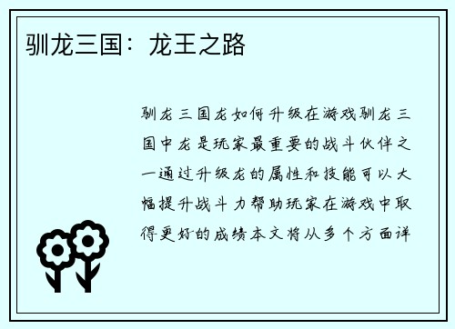 驯龙三国:龙王之路